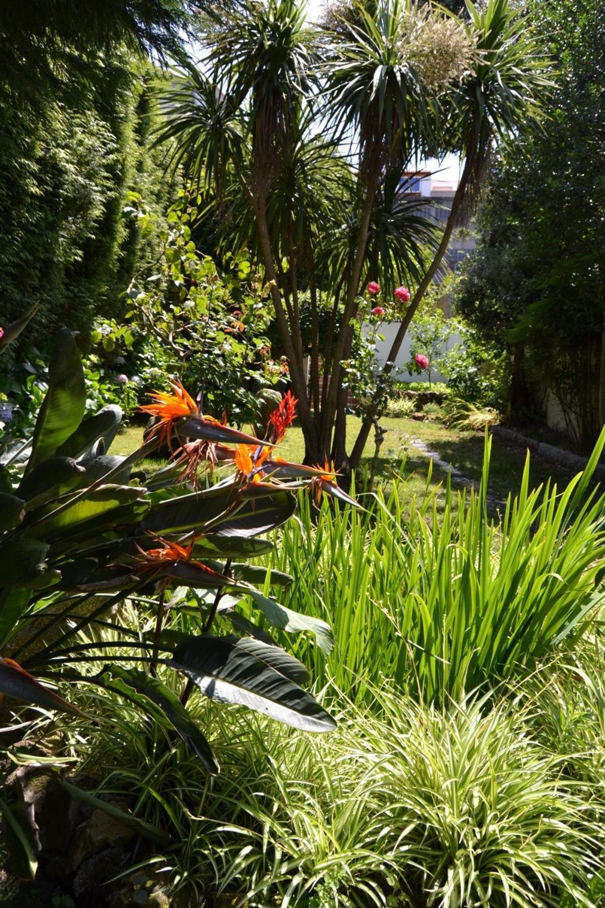 Hotel Amandi O Grove Εξωτερικό φωτογραφία